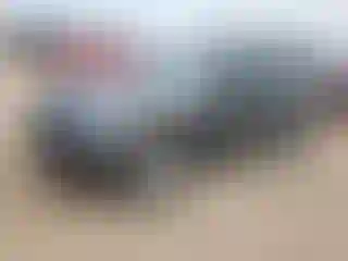 Vehicle Image- 2013 Honda CR-V