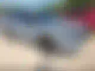 Vehicle Image- 2025 Honda CR-V