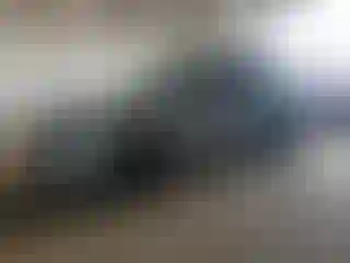 Vehicle Image- 2024 Honda CR-V