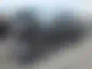 Vehicle Image- 2021 Honda CR-V