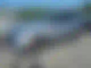 Vehicle Image- 2020 Honda CR-V