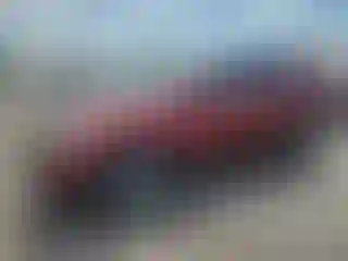 Vehicle Image- 2019 Honda CR-V
