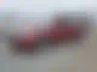 Vehicle Image- 2010 Honda Accord