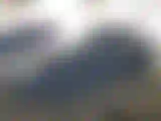 Vehicle Image- 2014 Honda Crosstour