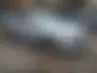 Vehicle Image- 2010 Honda Accord