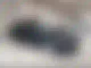 Vehicle Image- 2012 Honda Crosstour