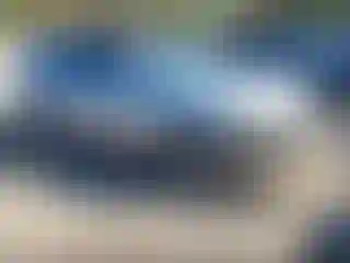 Vehicle Image- 2010 Honda Accord