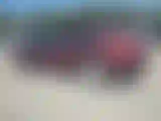 IMPORTOWO.pl