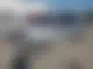 Vehicle Image- 2008 Acura RDX