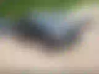 Vehicle Image- 2020 Acura RDX
