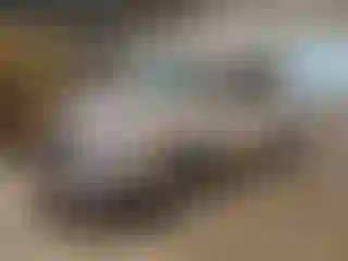 Vehicle Image- 2021 Acura RDX
