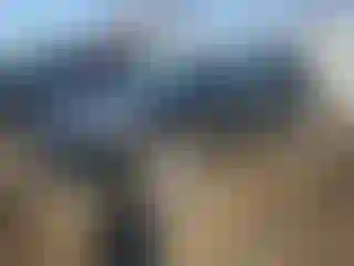 Vehicle Image- 2024 Acura RDX