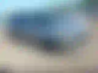 Vehicle Image- 2019 Acura RDX
