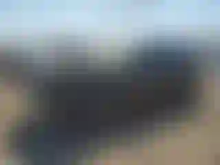 Vehicle Image- 2021 Acura RDX
