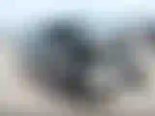 Vehicle Image- 2024 Acura RDX