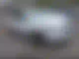 Vehicle Image- 2023 Acura RDX