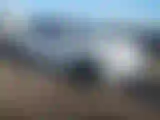 Vehicle Image- 2020 Acura MDX