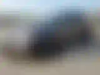 Vehicle Image- 2020 Acura MDX