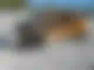 Vehicle Image- 2024 Acura MDX