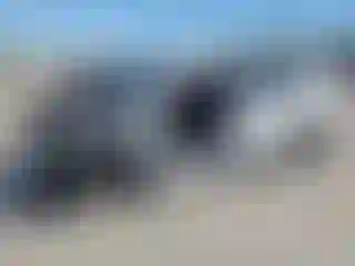Vehicle Image- 2023 Acura MDX