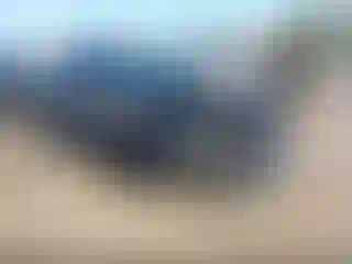 Vehicle Image- 2024 Acura MDX