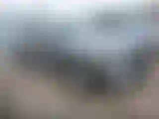 Vehicle Image- 2023 Acura MDX