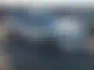 Vehicle Image- 2009 Honda Accord