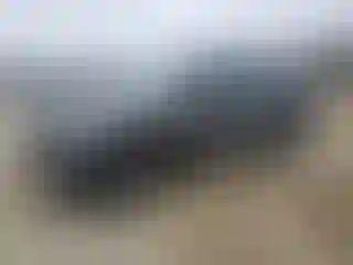 Vehicle Image- 2024 Lincoln Aviator