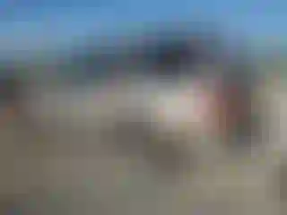IMPORTOWO.pl