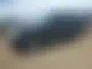 Vehicle Image- 2004 Lincoln Navigator