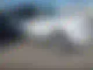 Vehicle Image- 2011 Lincoln Navigator