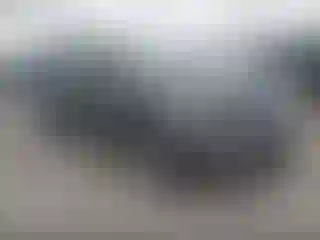 Vehicle Image- 2021 Lincoln Navigator