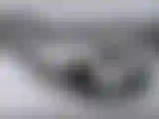 Vehicle Image- 2023 Lincoln Navigator