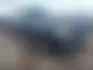 Vehicle Image- 2013 Lincoln Navigator