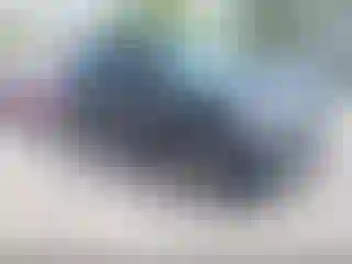 Vehicle Image- 2020 Lincoln Navigator