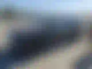 Vehicle Image- 2004 Nissan Armada
