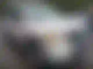 Vehicle Image- 2005 Nissan Armada