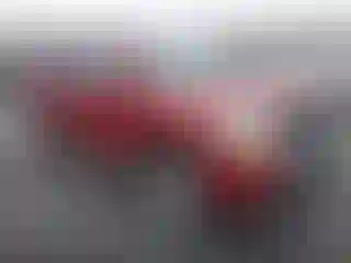 Vehicle Image- 2005 Nissan Armada