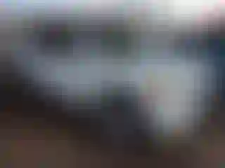 Vehicle Image- 2006 Nissan Armada