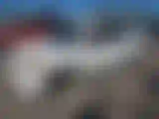 Vehicle Image- 2008 Nissan Armada