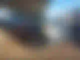 Vehicle Image- 2008 Nissan Armada