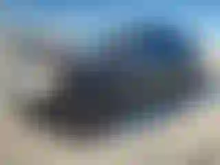 Vehicle Image- 2010 Nissan Armada