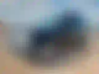 Vehicle Image- 2007 Nissan Xterra