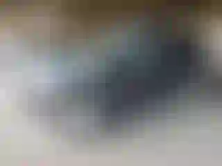 Vehicle Image- 2007 Nissan Xterra