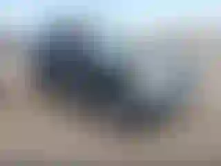 Vehicle Image- 2005 Nissan Xterra