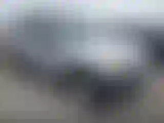 Vehicle Image- 2007 Nissan Xterra