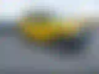 Vehicle Image- 2008 Nissan Xterra