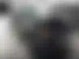 Vehicle Image- 2008 Nissan Xterra