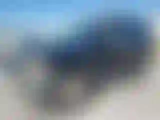 Vehicle Image- 2006 Nissan Xterra