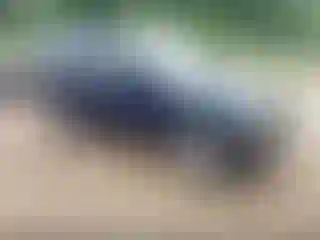Vehicle Image- 2008 Nissan Xterra